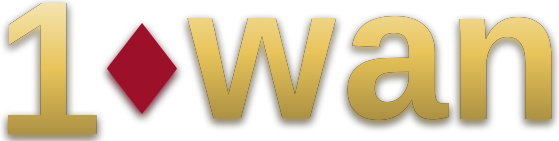 10wan logo